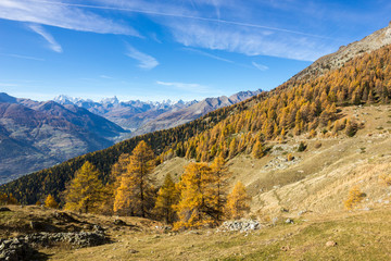 Panorama autunnale in montagna