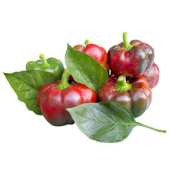 Paprikas with green leaves.