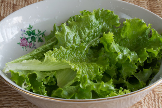 Green salad leaf