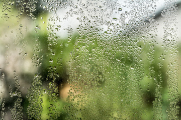 Drops on window
