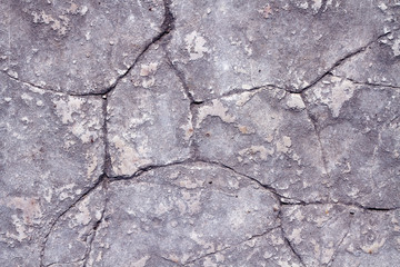 Obraz premium texture