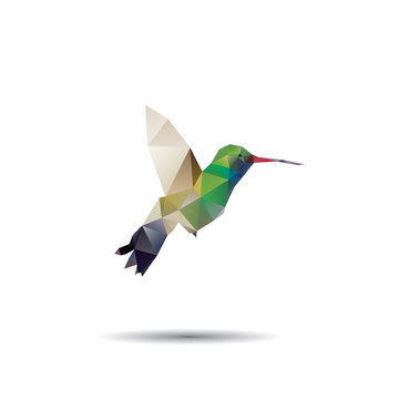 hummingbird origami (geometric style). colibri illustration of a