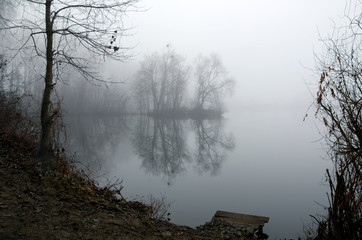 Mist on a lake