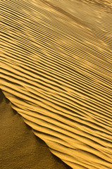 sand texture