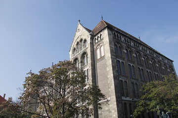 Université à Budapest, Hongrie