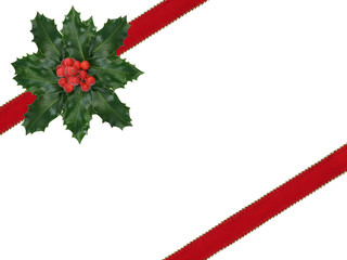 red holly berry and green leaf isolated christmas present