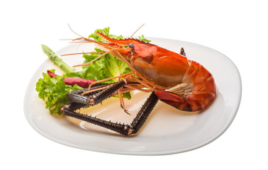 Giant Freshwater Prawn