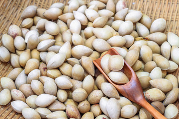 Ginkgo on the wooden floor.