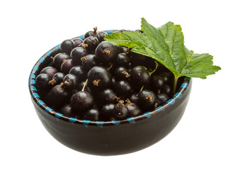 Black currant