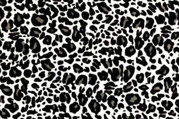 Animal Print Texture