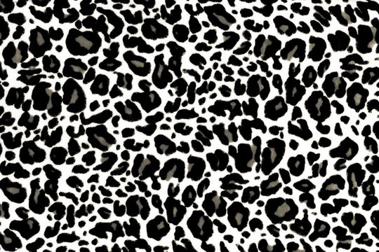 Animal Print Texture