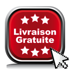 LIVRAISON GRATUITE ICON