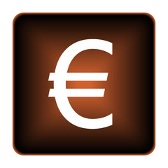 Euro icon
