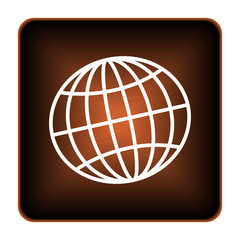 Globe icon