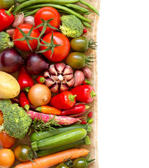 Colorful vegetables border