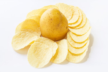 Potatoes fries in the plate isolated on white