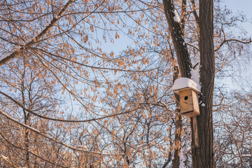 Nesting box under snow