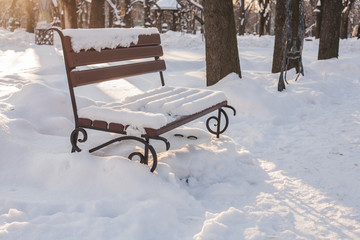 Benches in the winter city park