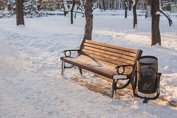 Benches in the winter city park