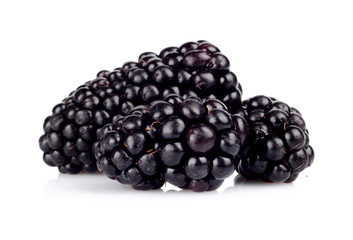 Studio shot of three fresh blackberries isolated white
