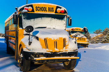 Winter Schoolbuses © V. J. Matthew