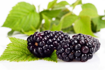 Photo many blackberries with leaves white background