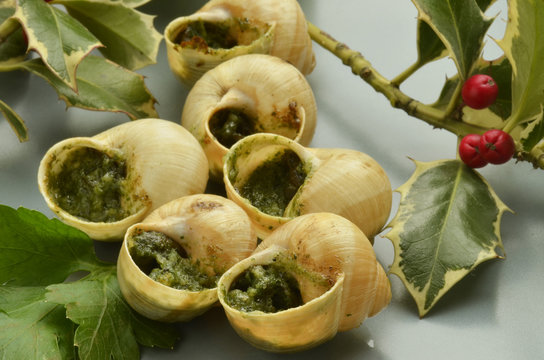 Helix pomatia Weinbergschnecke 羅馬蝸牛 Expo Milano 2015 food