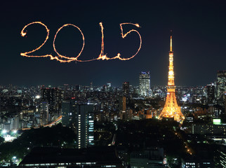 Fototapeta premium 2015 New Year Fireworks celebrating over Tokyo cityscape