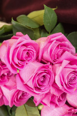 romantic bouquet of Ecuadorian pink roses