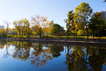 Trees and Reflections