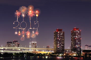 Obraz premium 2015 New Year Fireworks celebrating over Tokyo cityscape