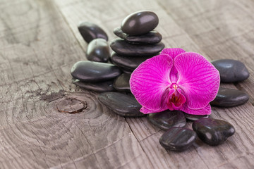 Fototapeta na wymiar Moth orchid and black stones on weathered deck
