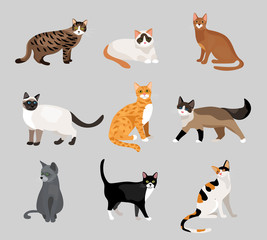 Set of cute cartoon kitties or cats
