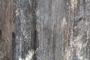 Obraz premium Wooden texture background