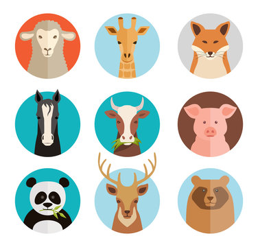 Animals avatars