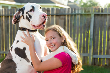 great dane stand up on kid girl shoulders playing - obrazy, fototapety, plakaty