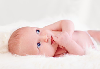 curious, two weeks old, newborn baby