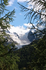 Image of Bernina Glacier in the Alps (Switzerland)