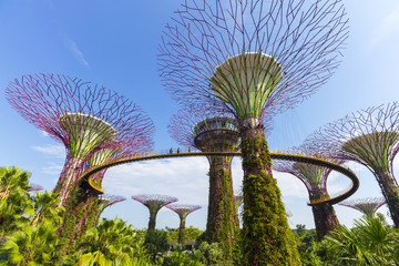 Le jardin botanique de la baie en ville à Singapour