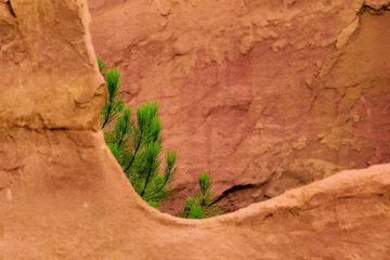 ochres of Roussillon