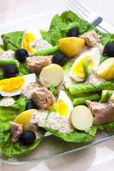 Nicoise salad