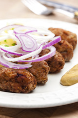 fritters of minced meat