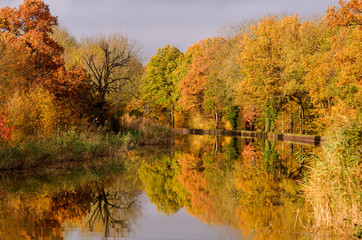 channel et autumn forest