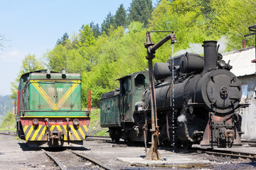 Fototapeta premium locomotives, delivery point in Oskova, Bosnia and Hercegovina