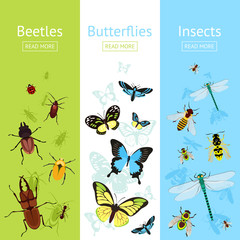 Insects banner set