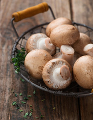 Fresh champignon
