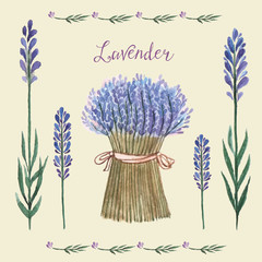 Lavender watercolor.