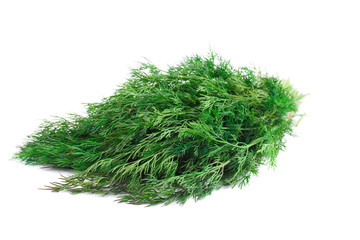 Bunch of fresh dill.
