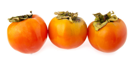 persimmon