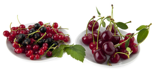 juicy cherry and currant